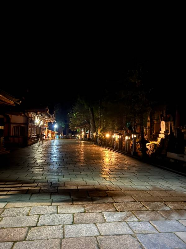 奥之院灯籠堂　年中行事　高野山　弘法大師　真言宗　非売品　入手困難 高野山・奥の院には秘密の地下室があって観光も納骨もできる