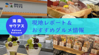 激レア海南サクアス道の駅きっぷ 道の駅海南サクアスの道の駅記念きっぷとスタンプをチェック